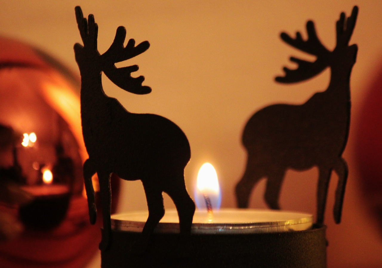 candle reindeer christmas free photo