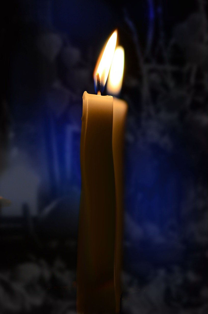 candle light decoration free photo