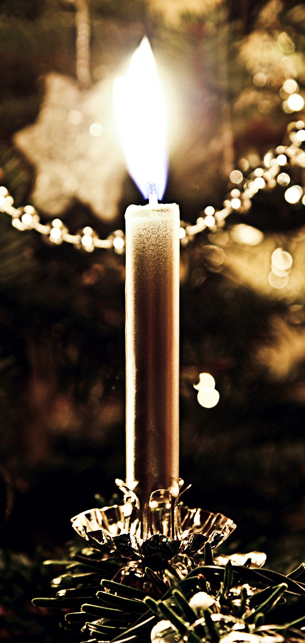 candle christmas advent free photo