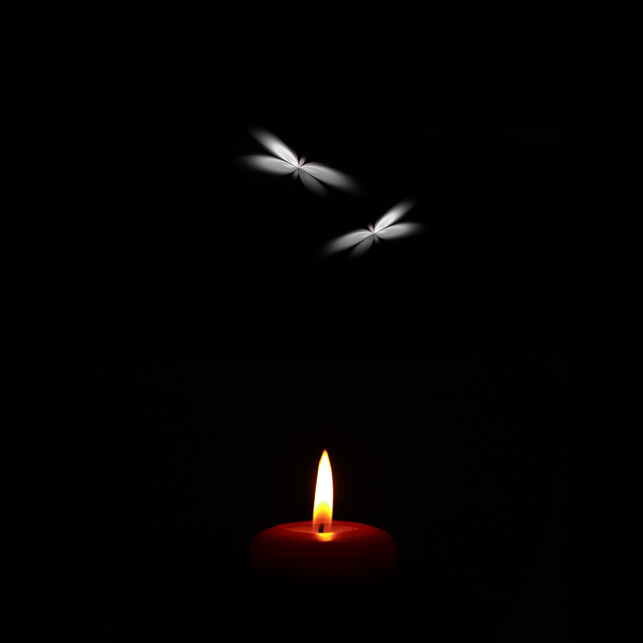 candle butterfly light free photo