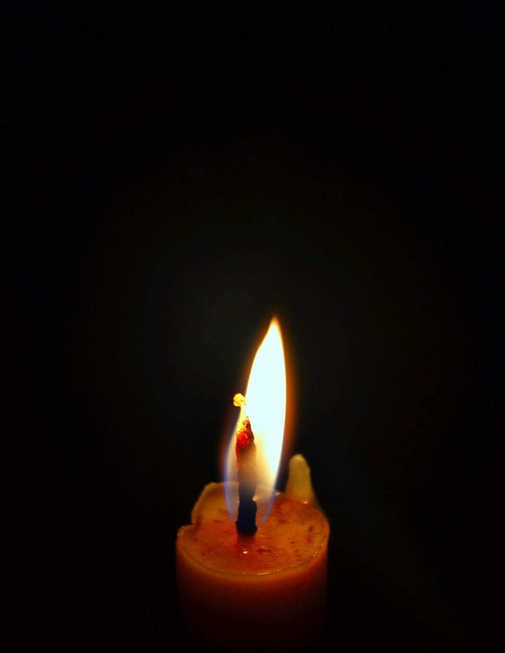 candle light dark free photo