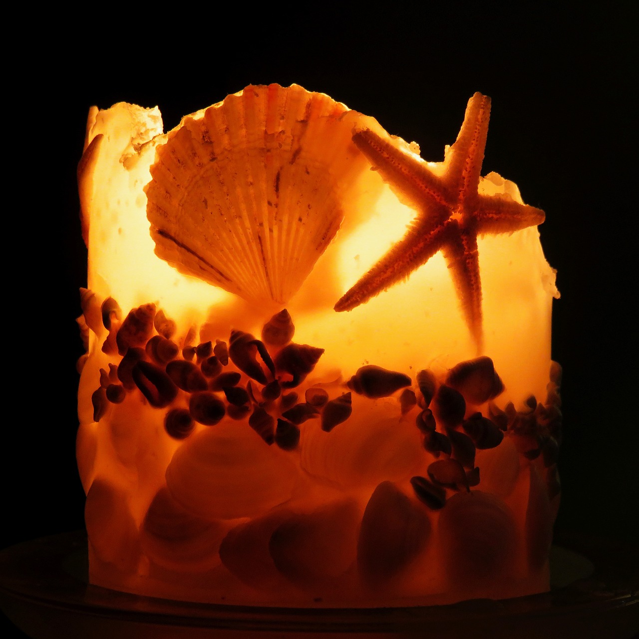 candle shells candlelight free photo