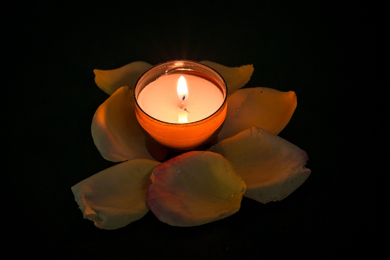 candle rose tealight free photo