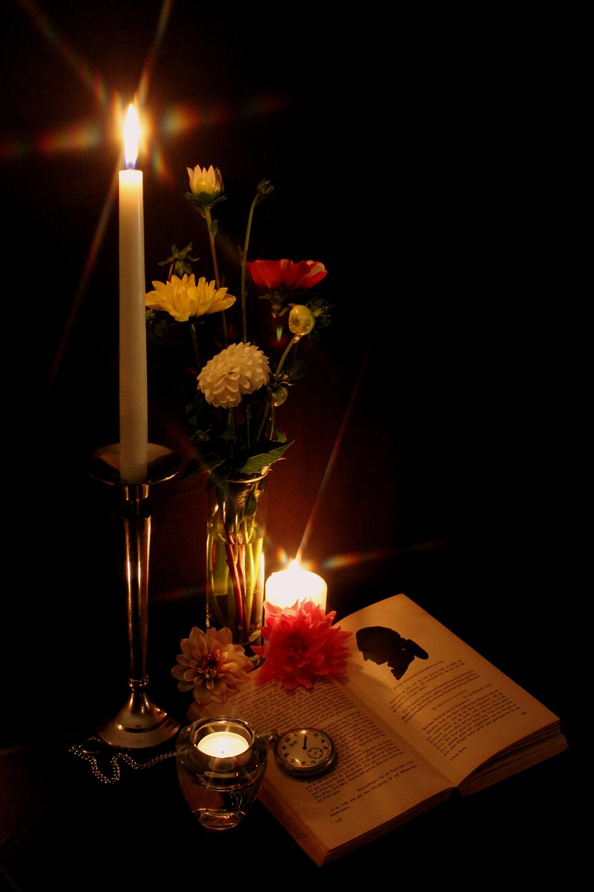 candlelight goethe book free photo