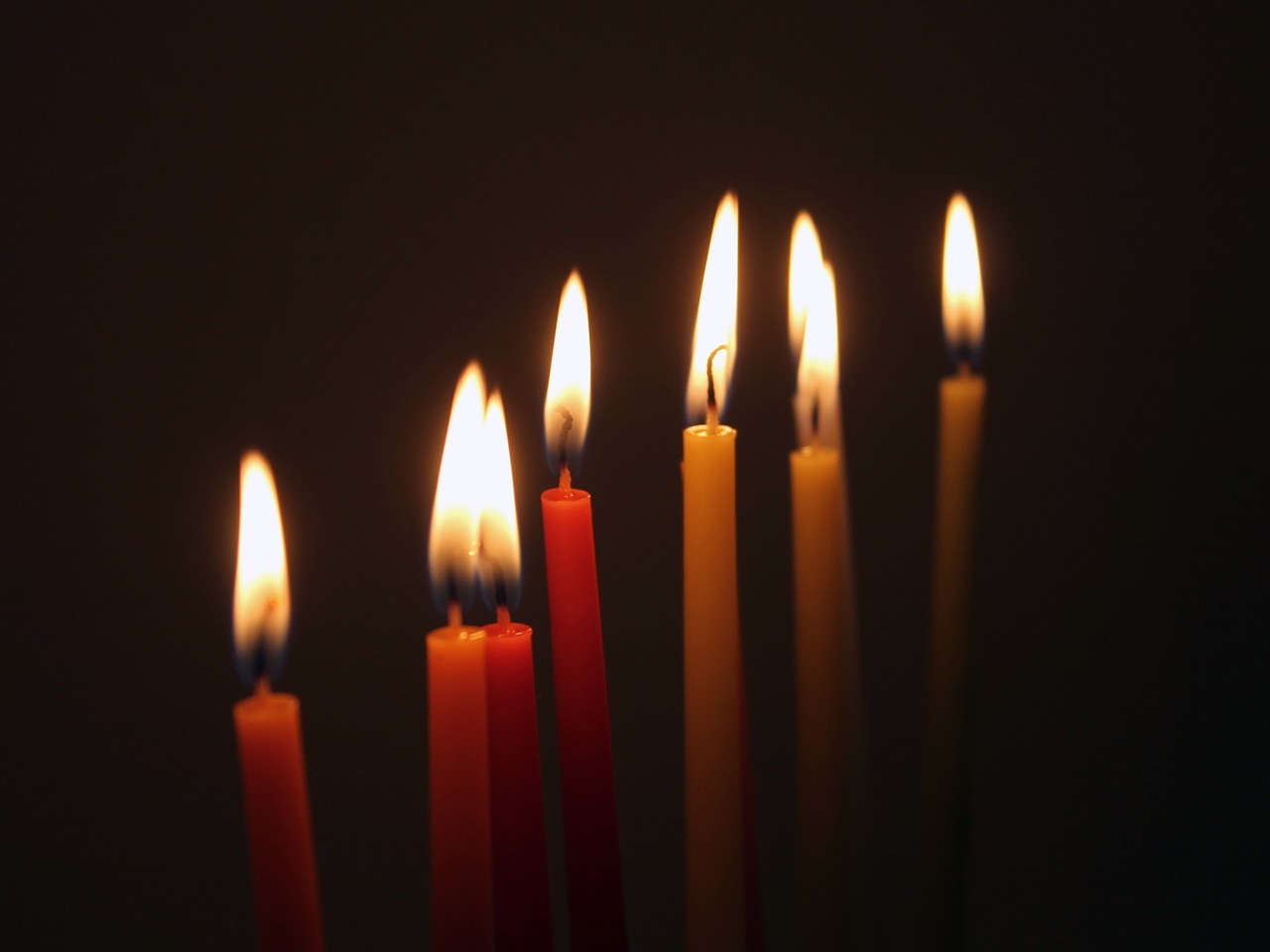 candles hanukkah jews free photo
