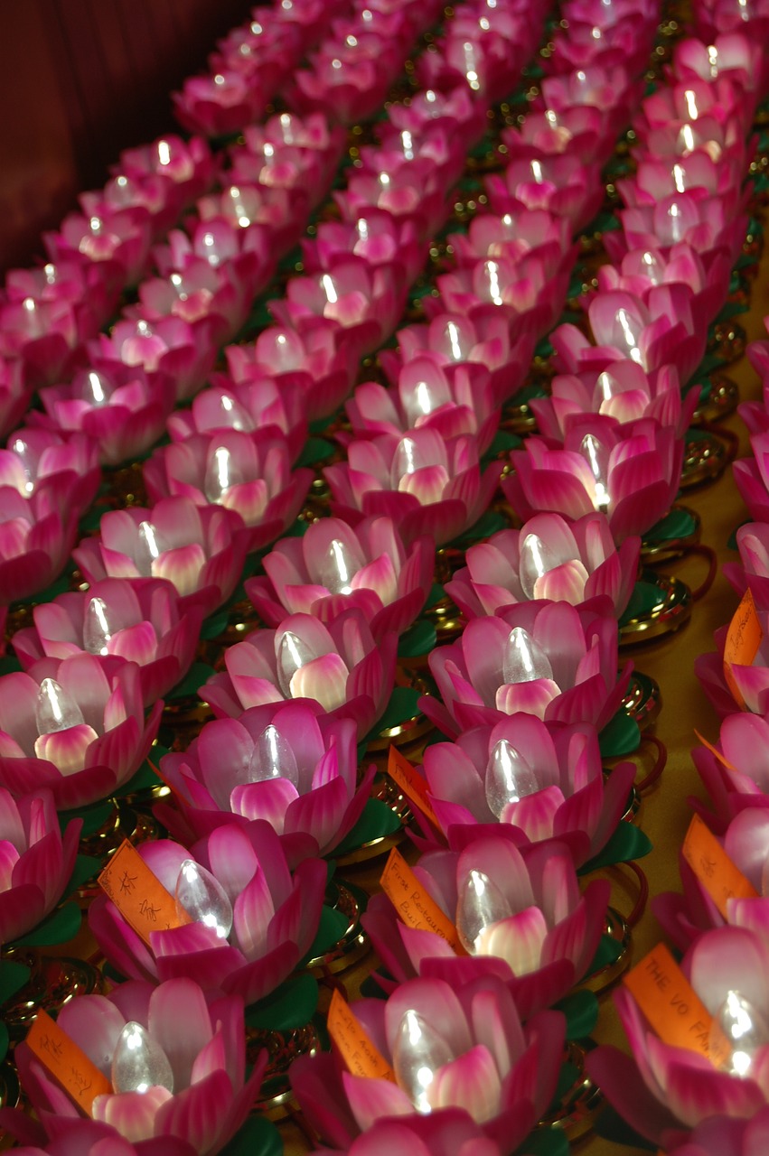 candles  buddhism  spirituality free photo