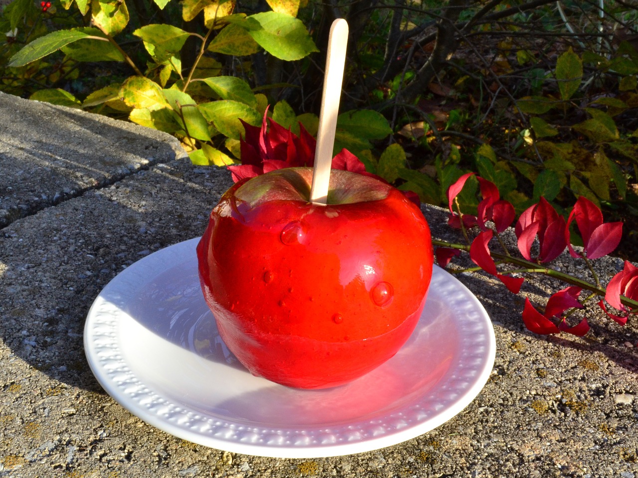 candy apple harvest free photo