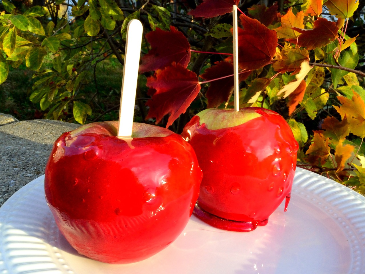 candy apple harvest free photo