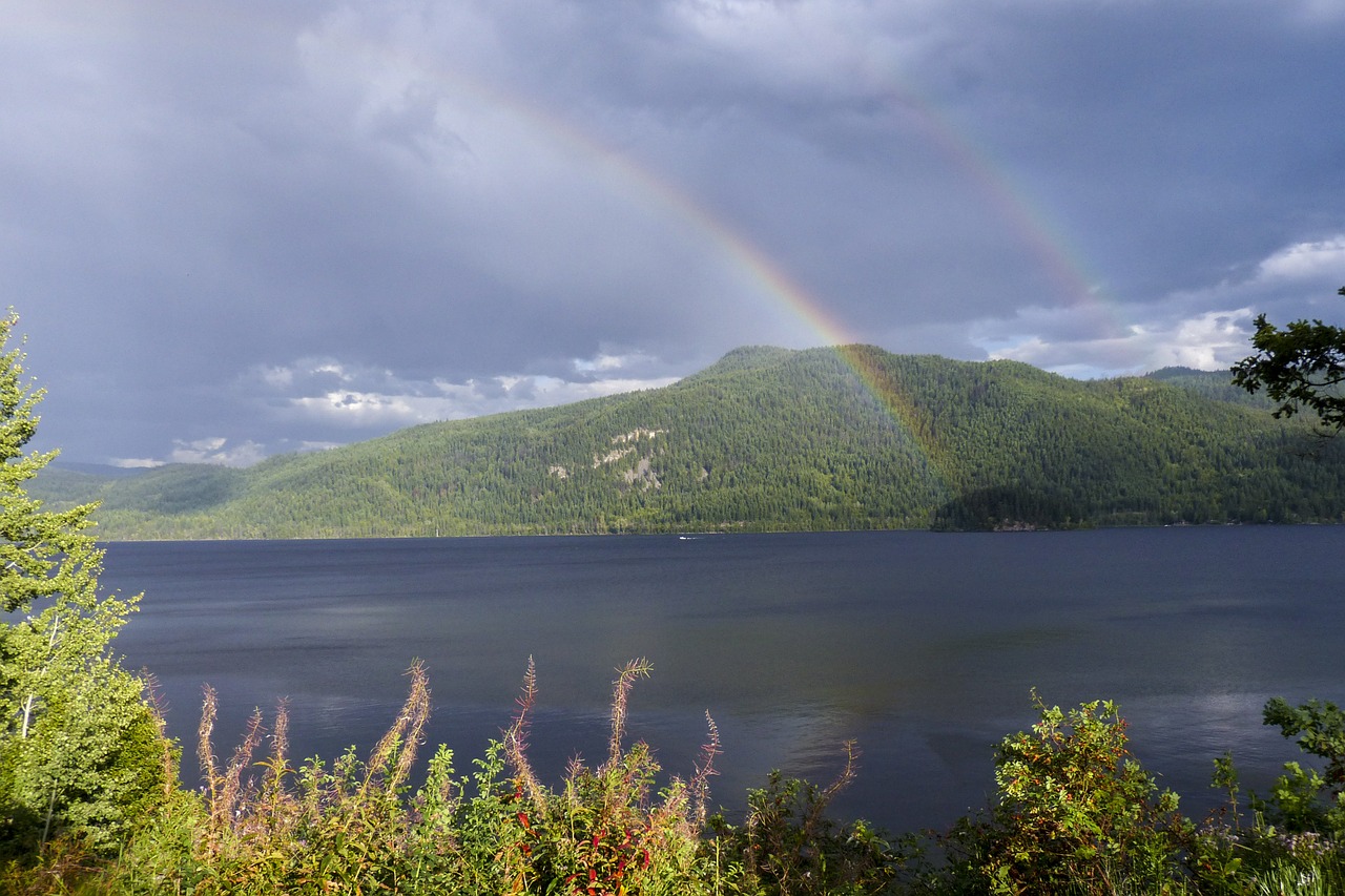 canim lake british columbia canada free photo