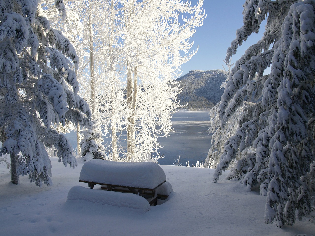 canim lake cariboo british columbia free photo