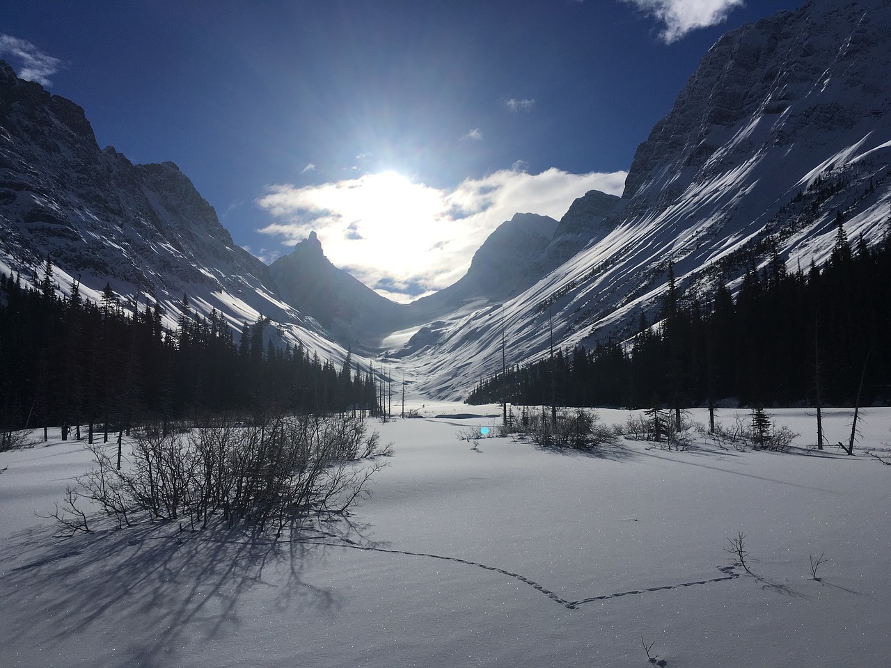 canmore snow shoeing free photo