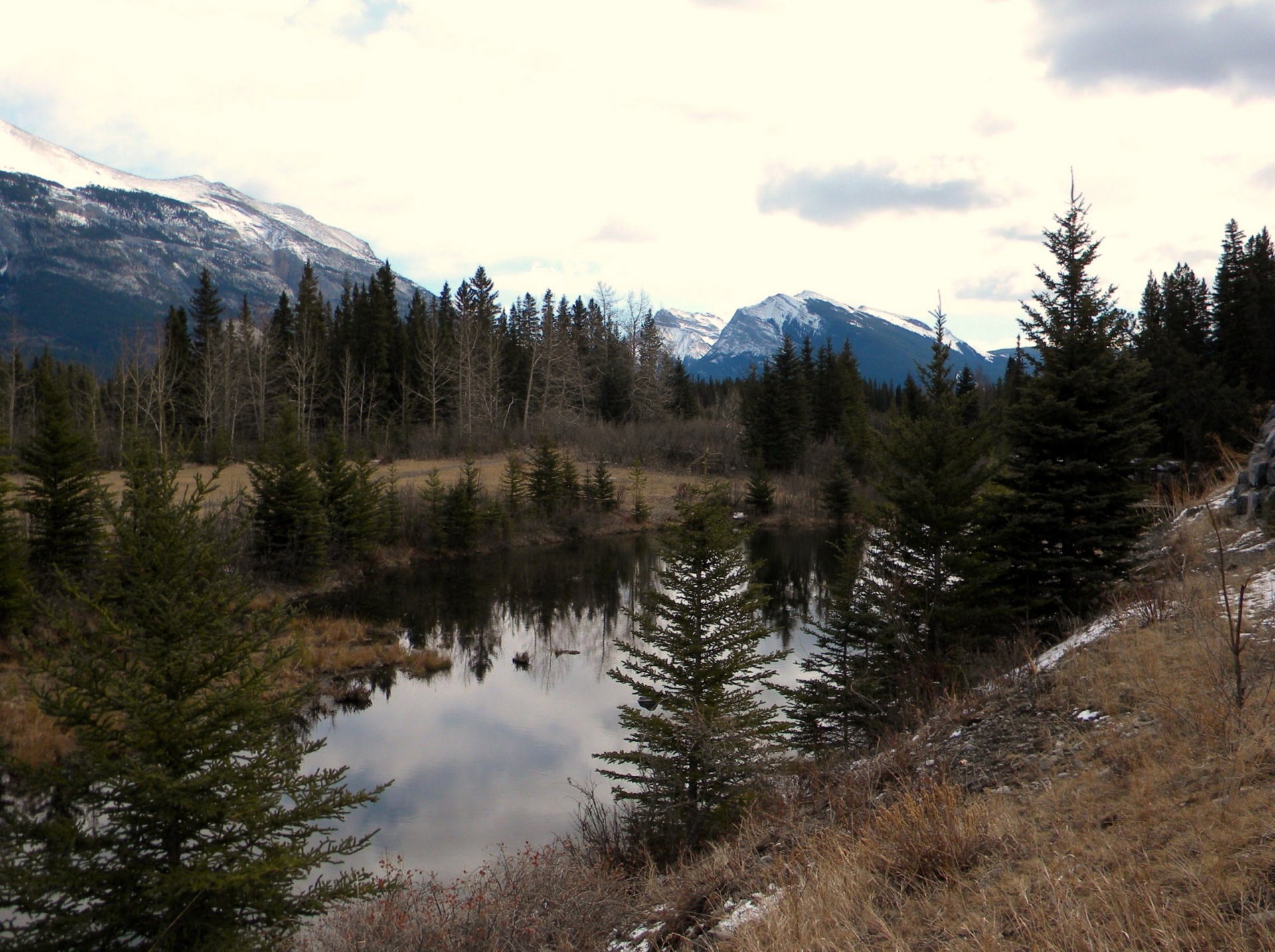 canmore alberta mountains free photo