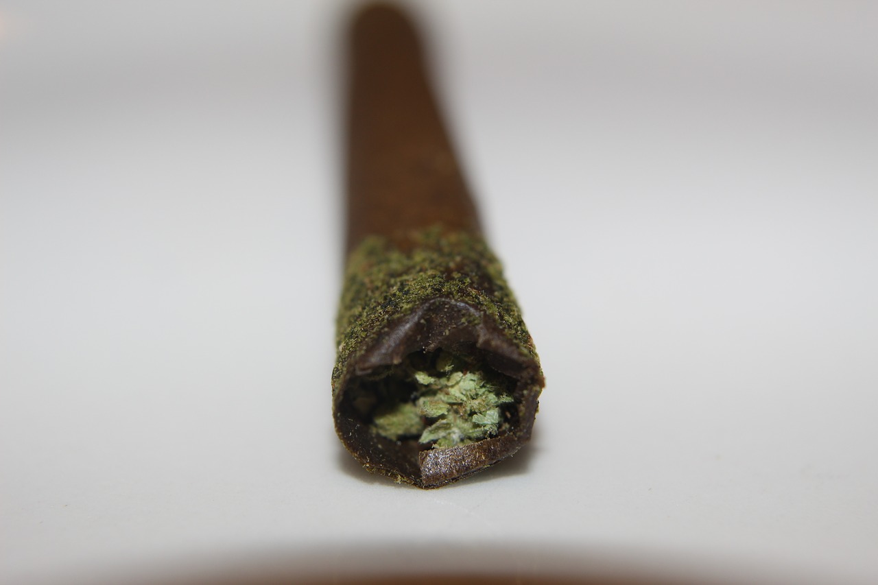 canna stick  infused pre-rolled joint  blunt free photo