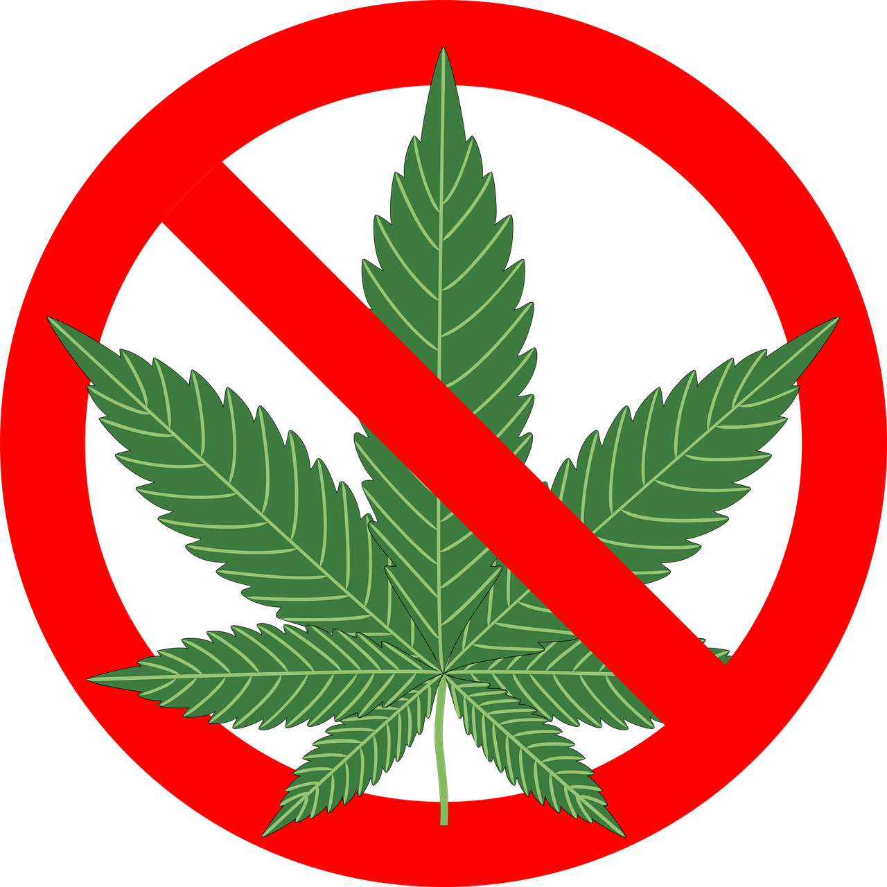 cannabis hemp leaf free photo