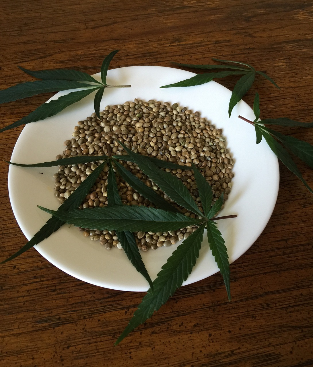 cannabis seeds hemp seeds food free photo
