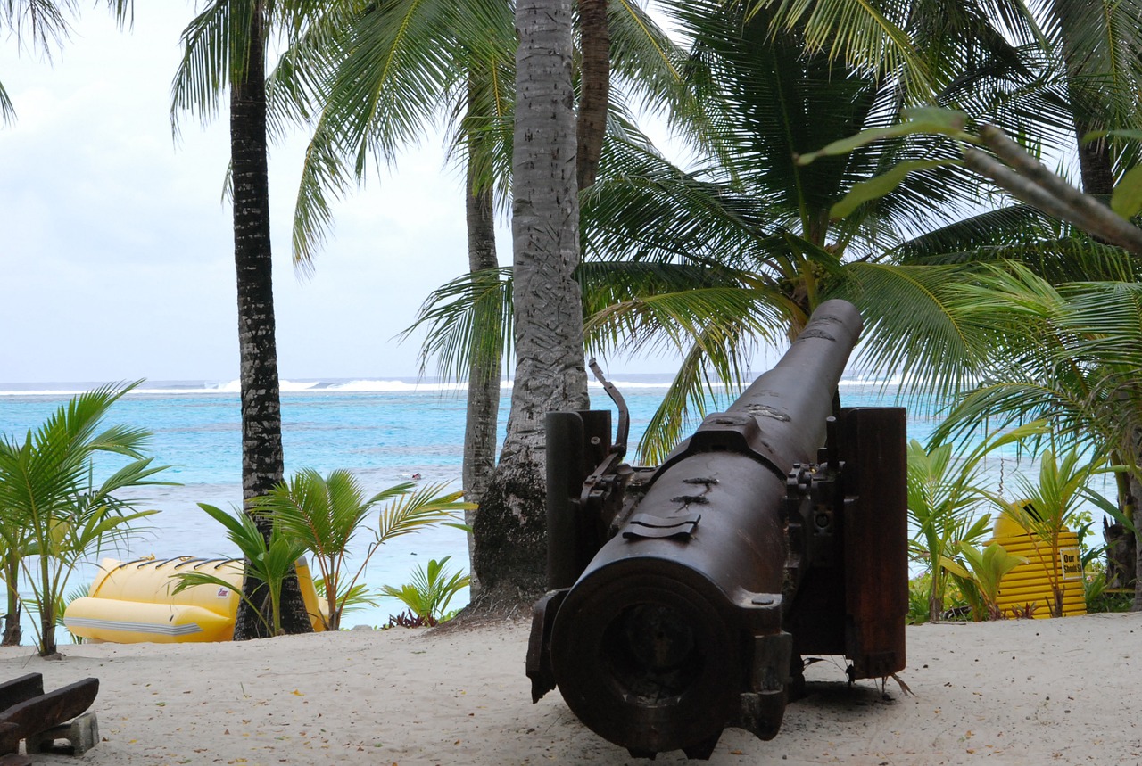 cannon beach artillery free photo