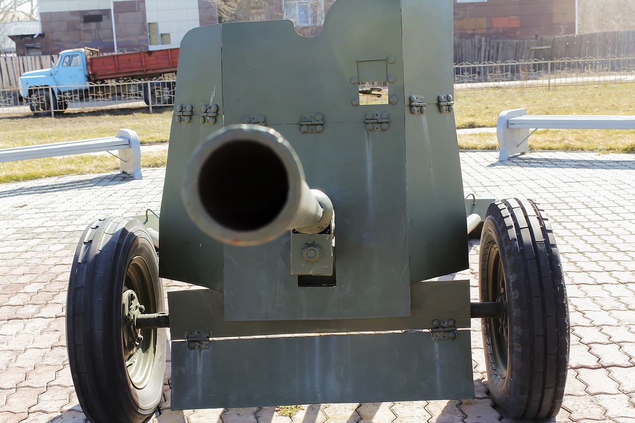 cannon  military  weapons free photo