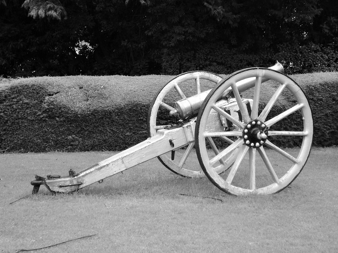 cannon war military free photo