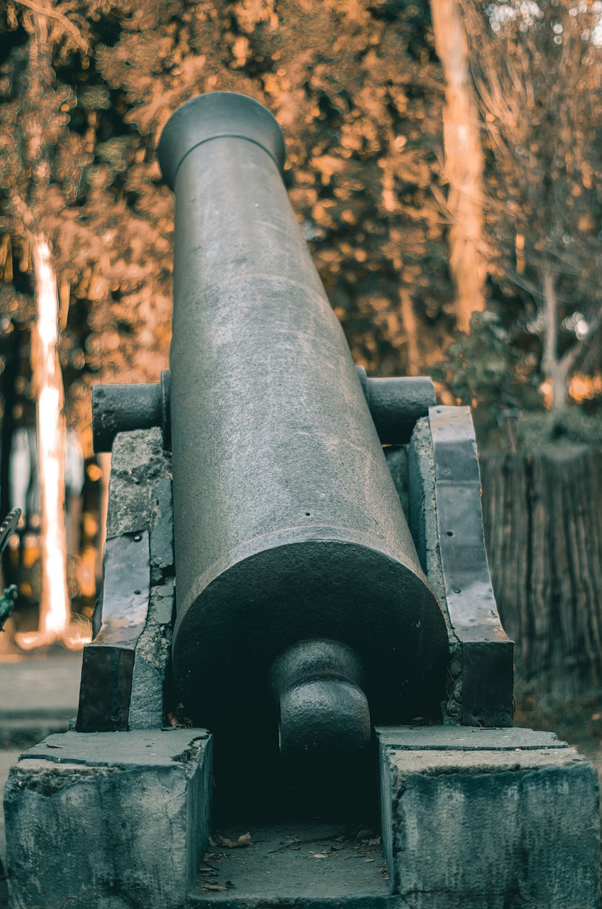 cannon  artillery  weapon free photo