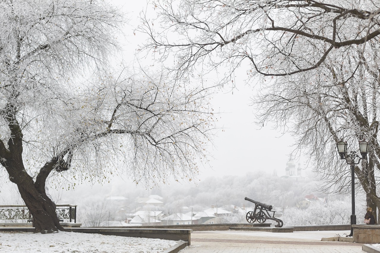 cannon  winter  snow free photo