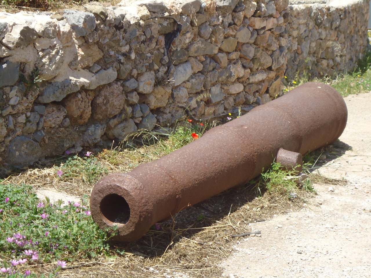 cannon artillery canon free photo