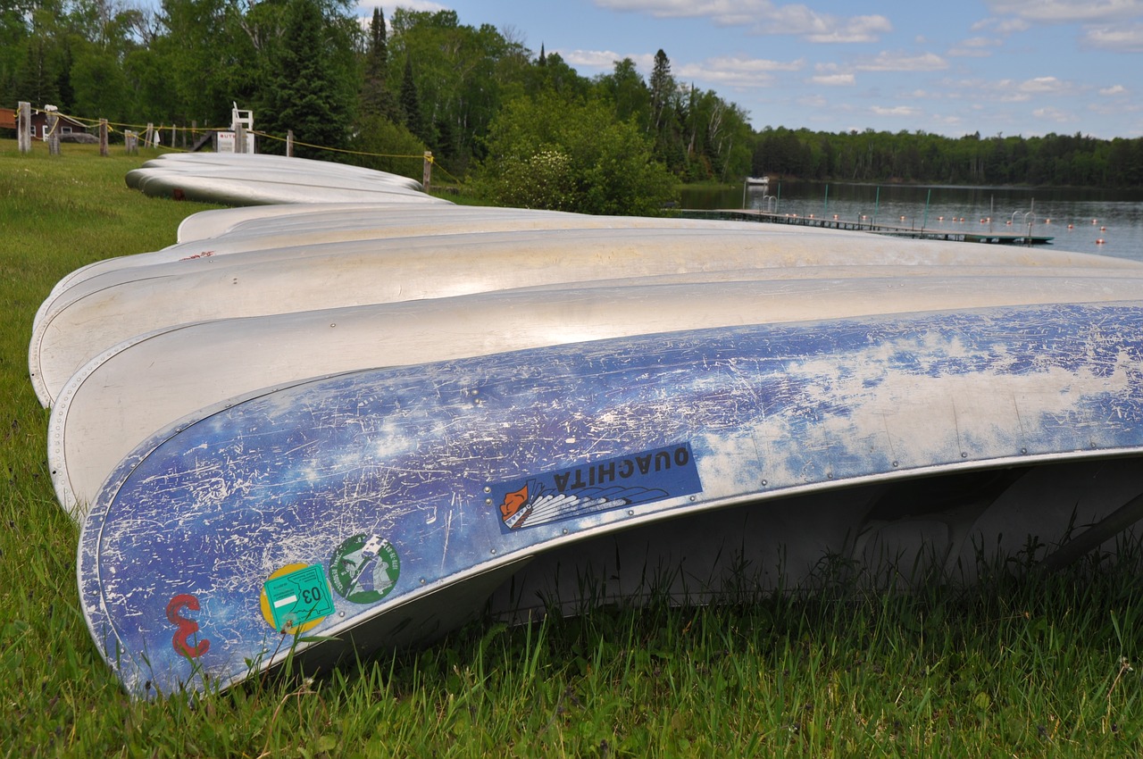 canoe row summer free photo