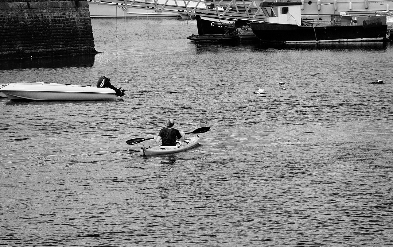 canoe oar water free photo