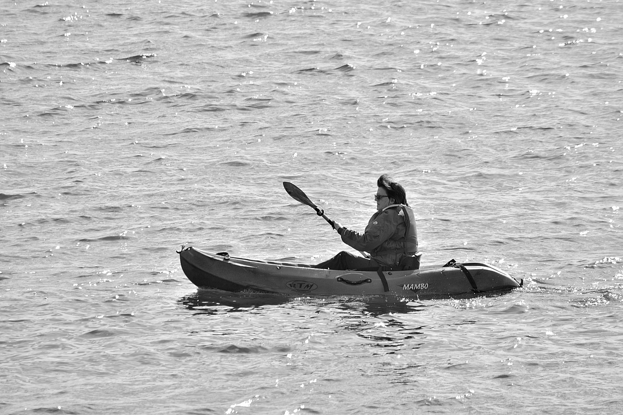 canoe canoe kayak paddle free photo
