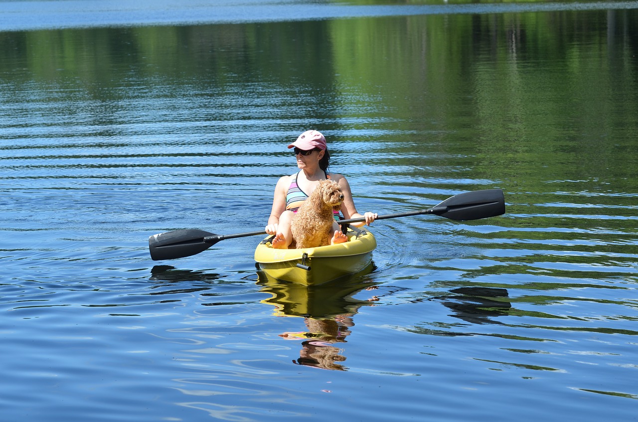 canoe lake dog free photo