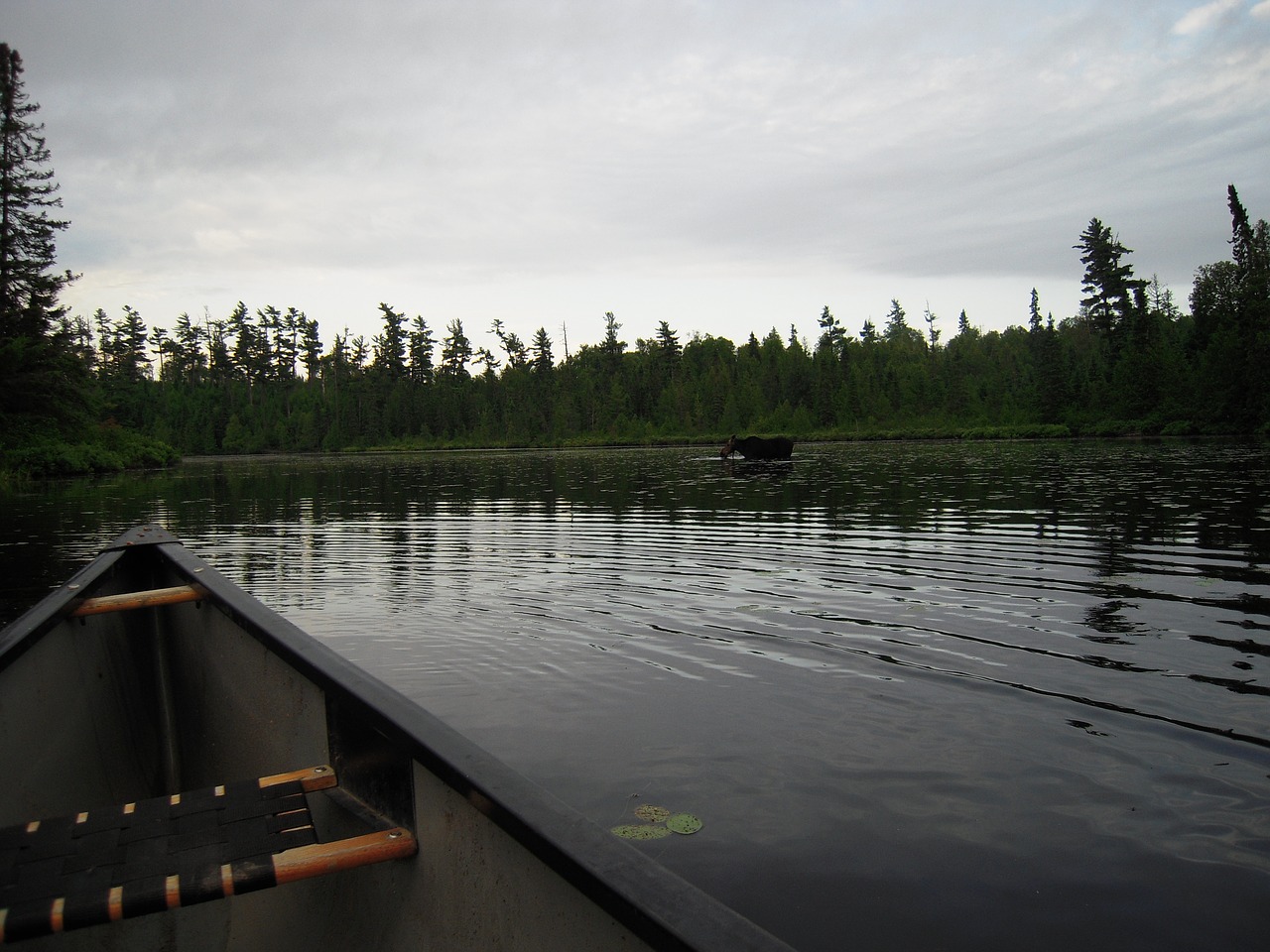 canoe lake calm free photo
