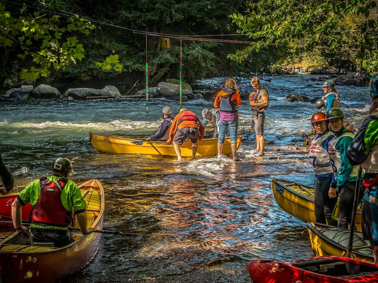 canoe race river free photo