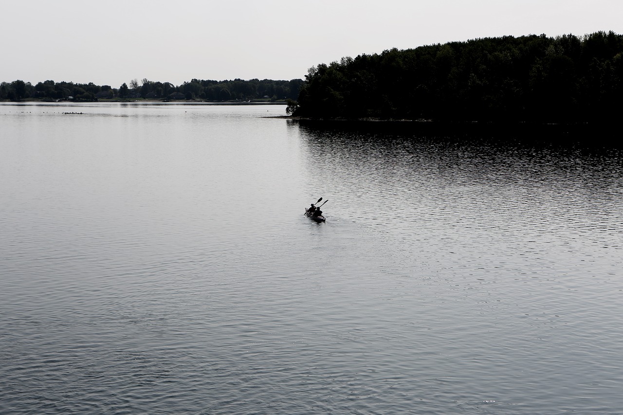 canoe kayak paddle free photo