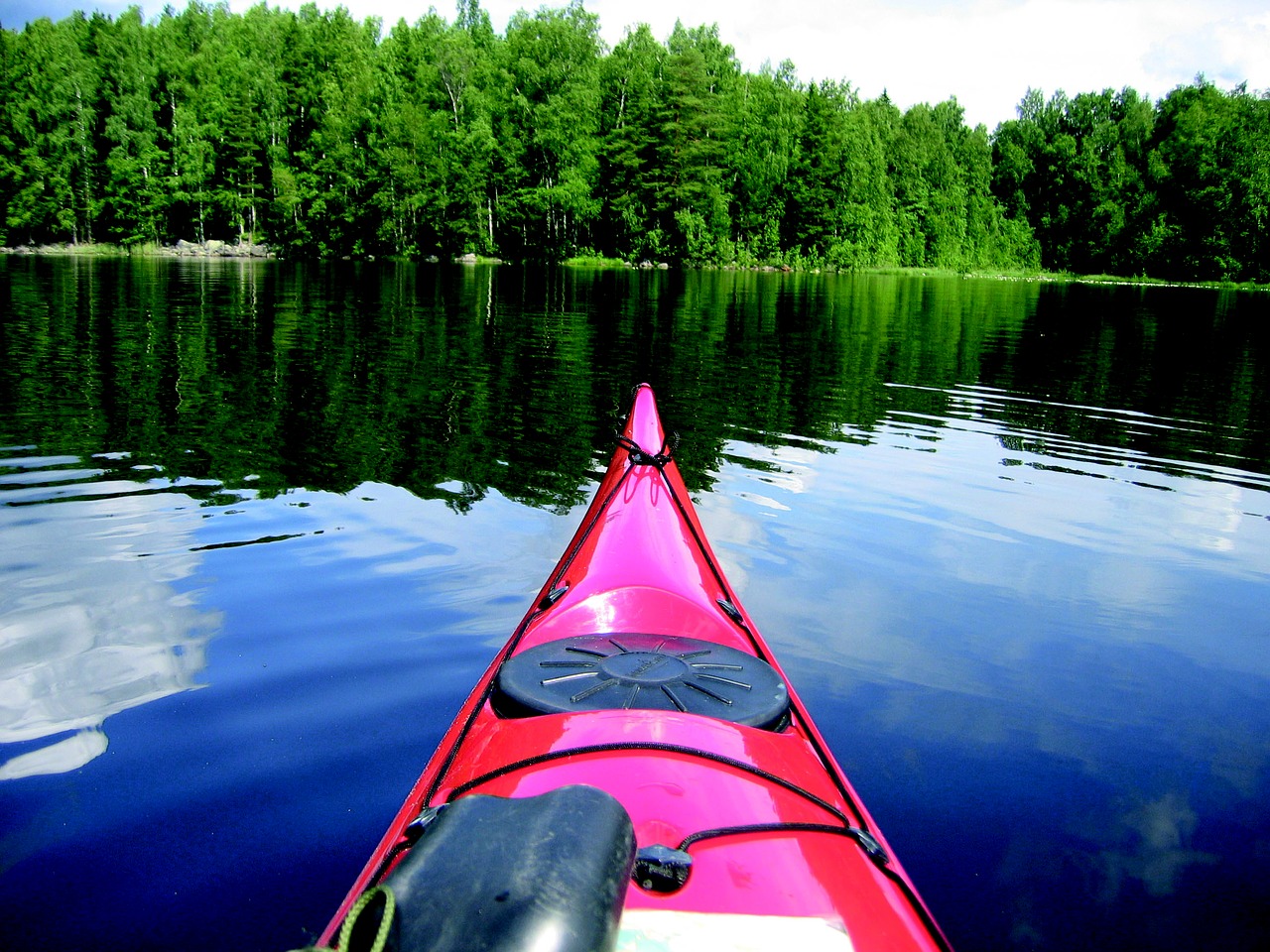 canoe lake forest free photo