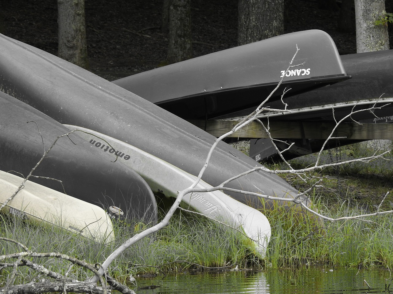 canoe boat water free photo