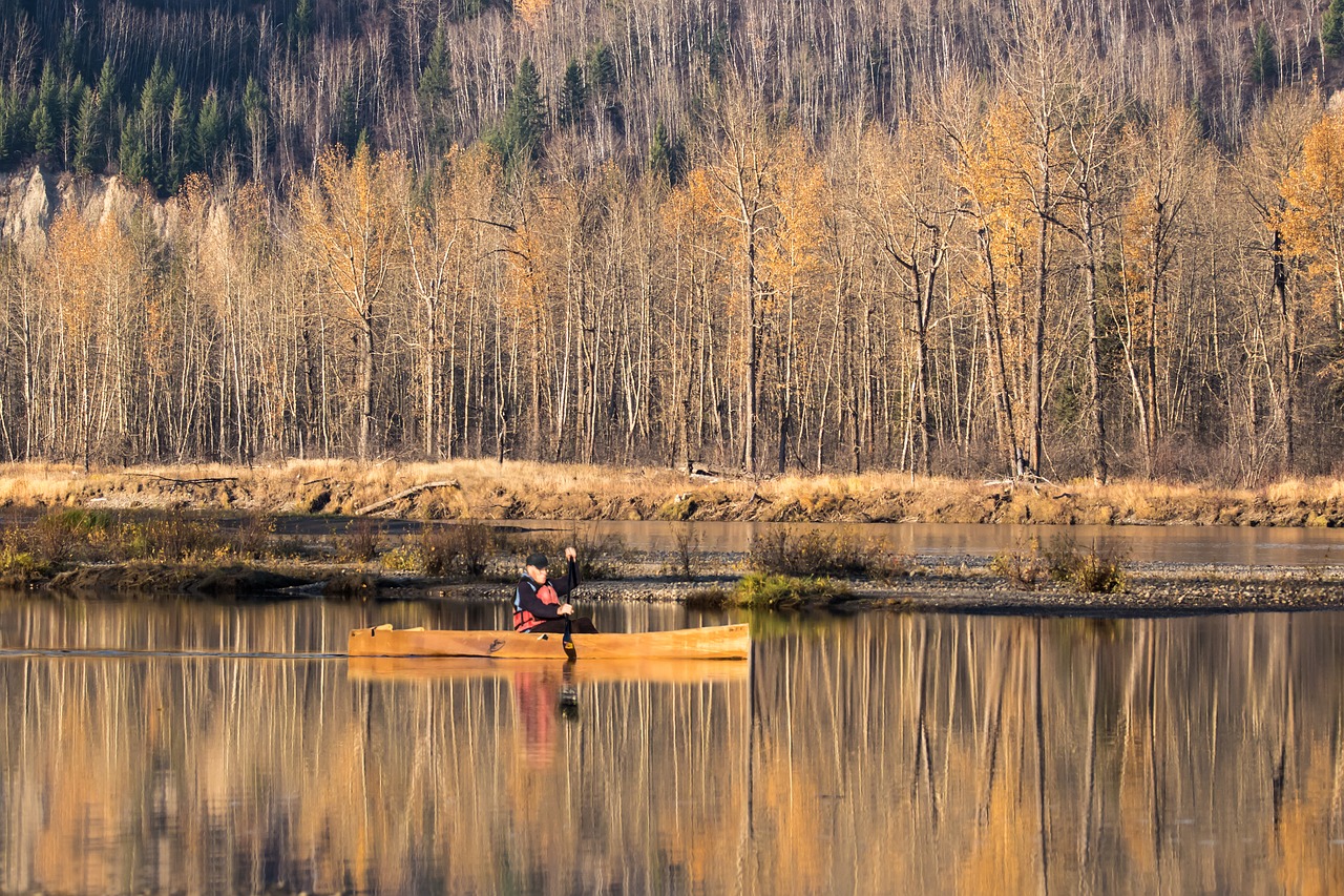 canoe  river  fall free photo