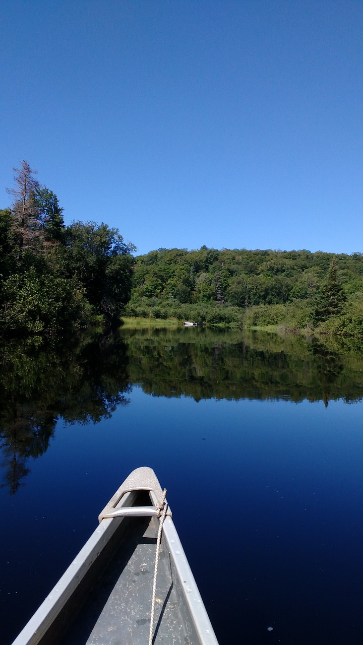 canoe  nature  river free photo