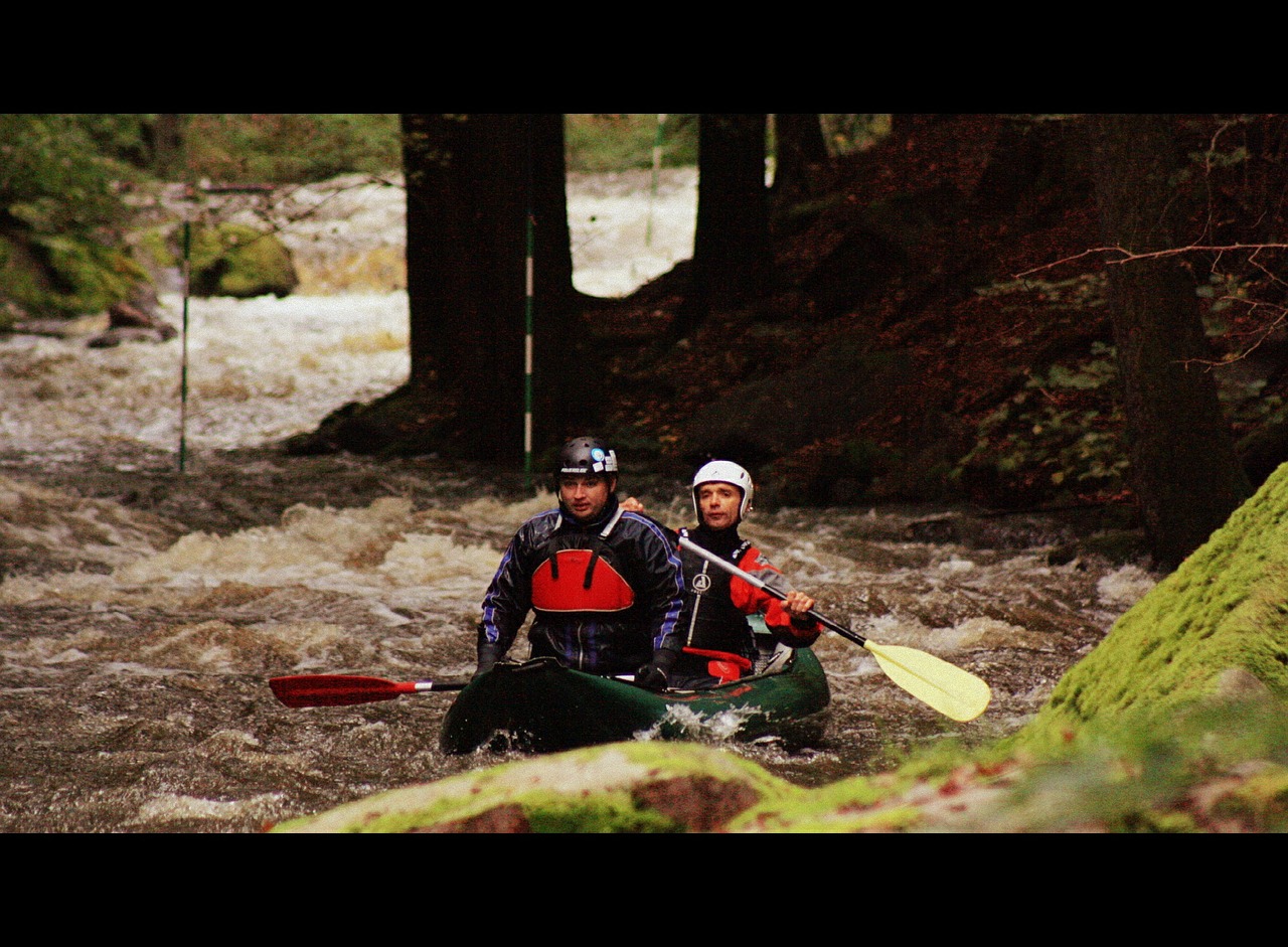 canoe water paddle free photo