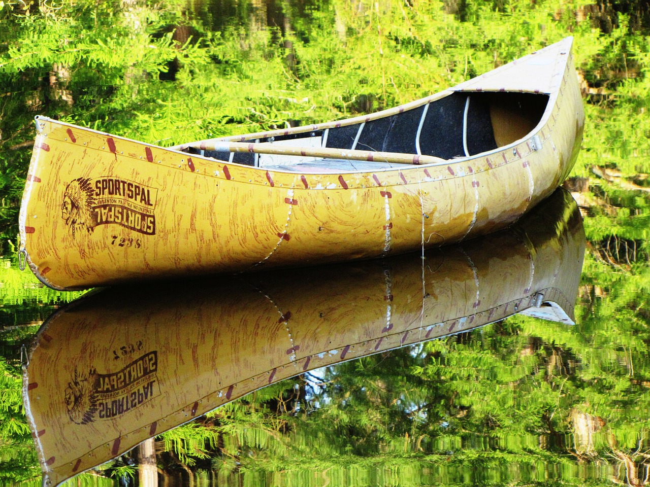 canoe nature water free photo