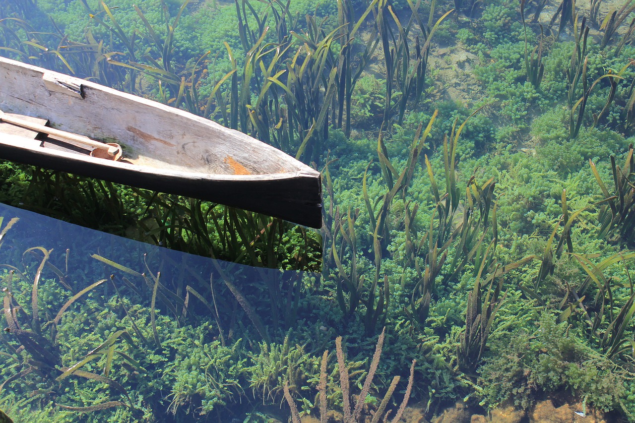 canoe fishing boat boat free photo