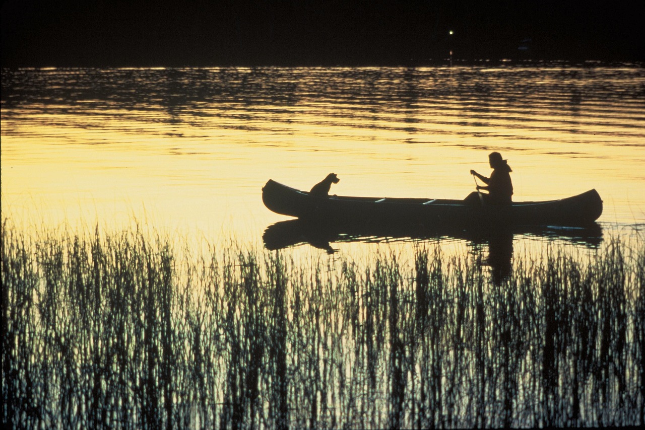 canoe river silhouettes free photo