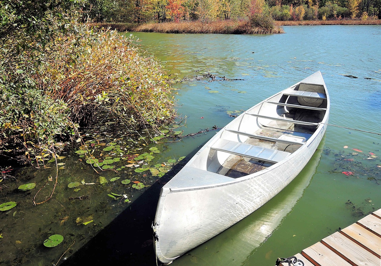 canoe fresh water lake autumn colors free photo