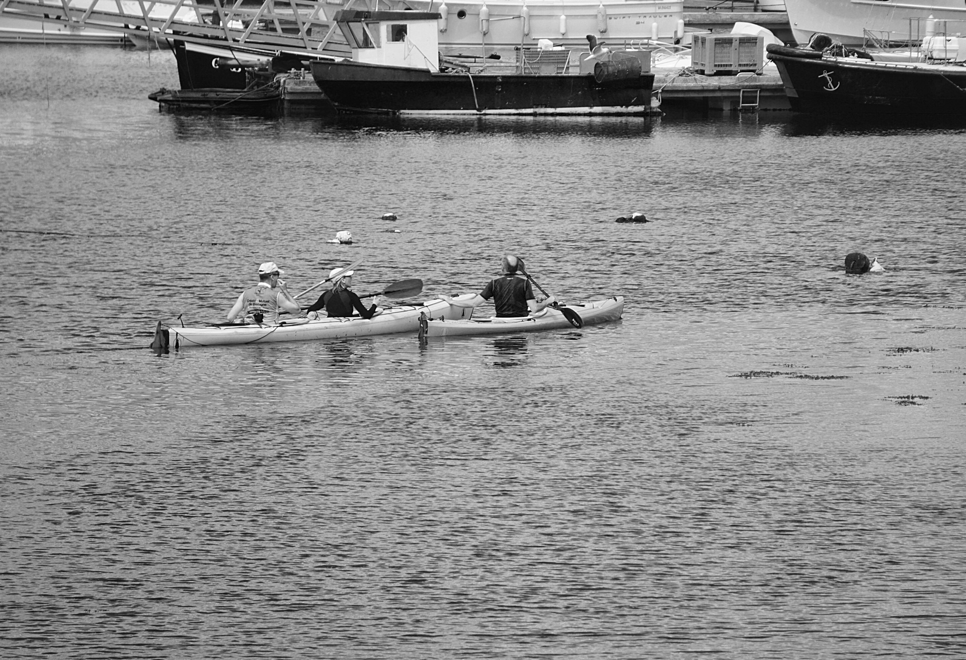 canoe kayak couple free photo