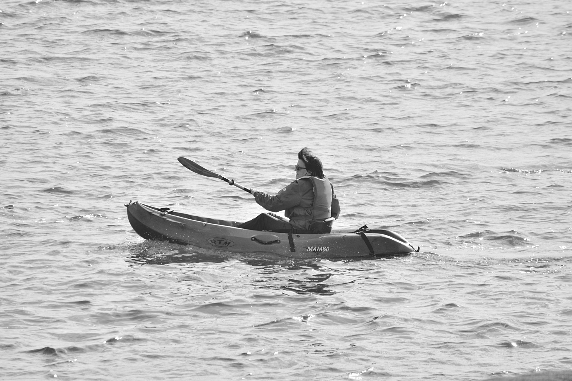 canoeing paddle sport free photo