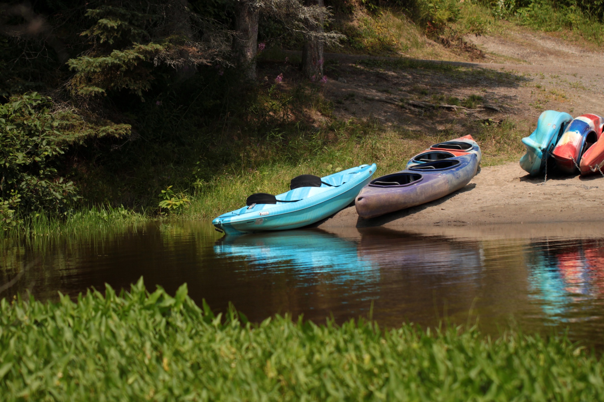 park canoe kayak free photo