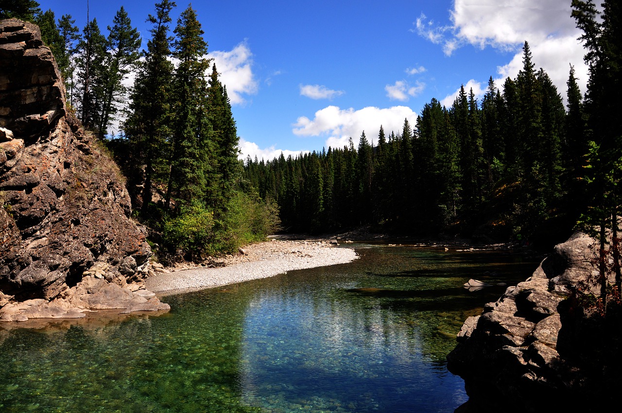 canoe meadows kananaskis canada free photo