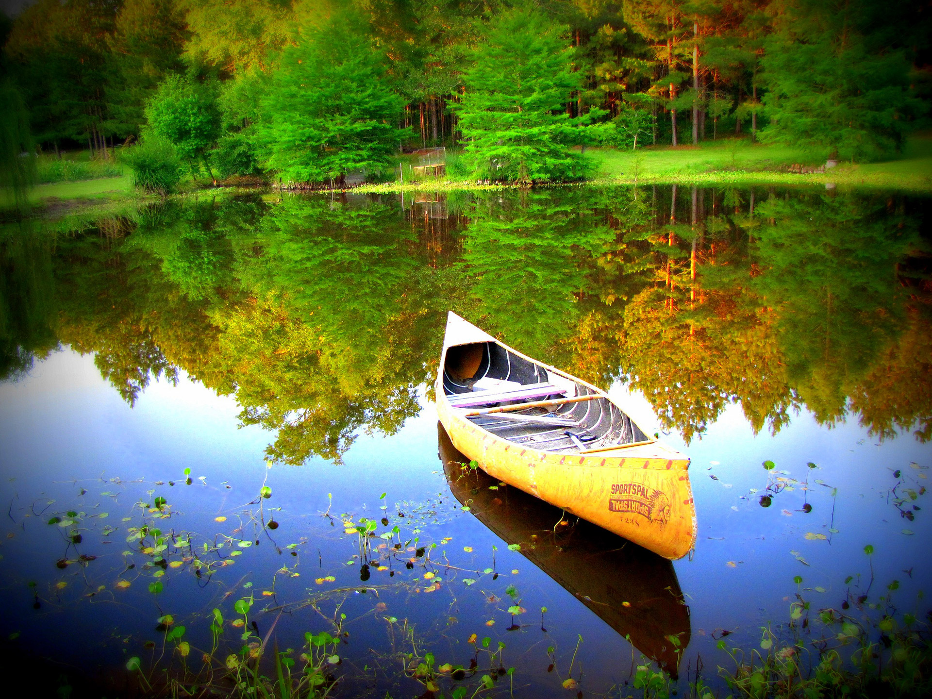 canoe pond water free photo
