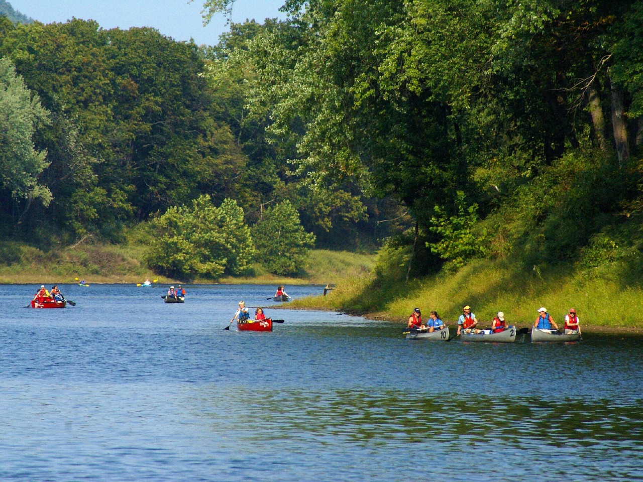 canoeing river recreation free photo