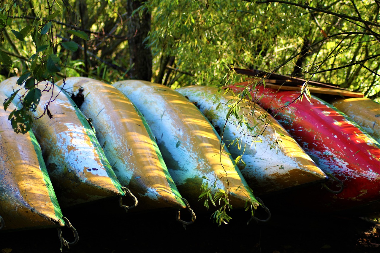 canoeing boot lakeside free photo