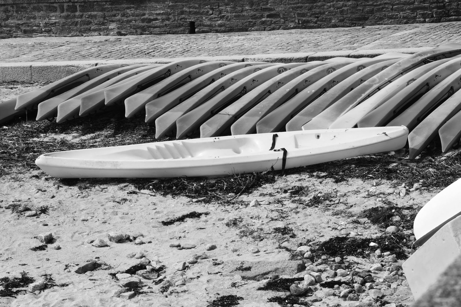 canoes boats leisure free photo