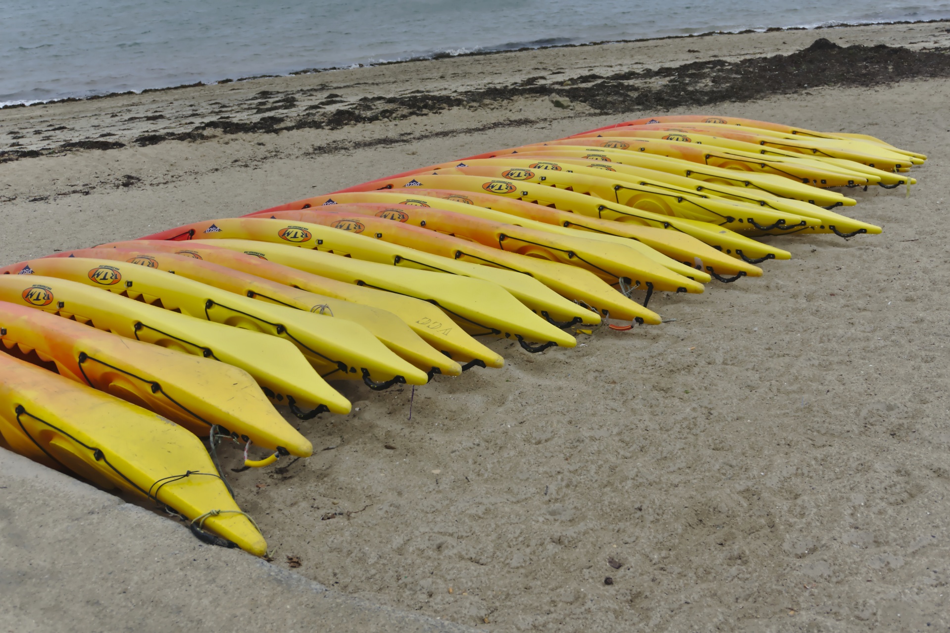 canoes canoes kayak beach free photo